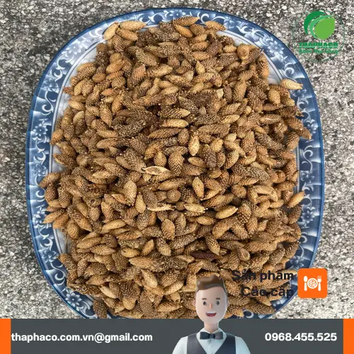 Ké đầu ngựa sấy khô Noni Tấn Phát giàu dưỡng chất tự nhiên