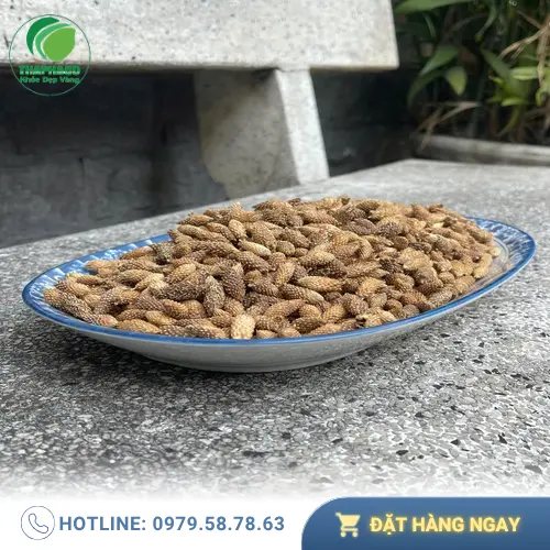 Ké đầu ngựa Noni Tấn Phát được kiểm tra chất lượng nghiêm ngặt