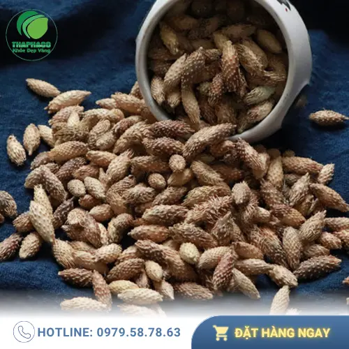 Ké đầu ngựa khô của Noni Tấn Phát đảm bảo chất lượng