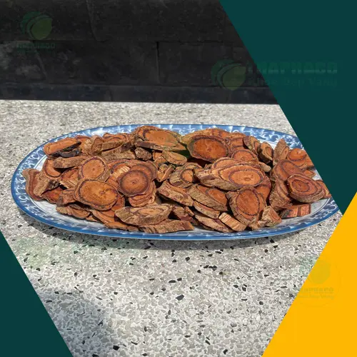 Lợi ích của Kê Huyết Đằng sấy khô đối với xương khớp và lưu thông máu