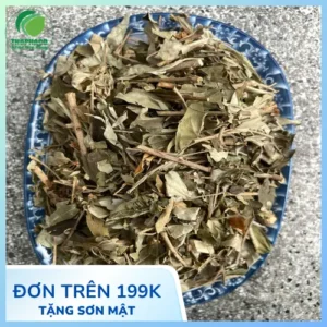 Khổ Sâm Mua Ở Đâu Giá Rẻ Uy Tín? Nơi Bán Chuẩn Tấn Phát