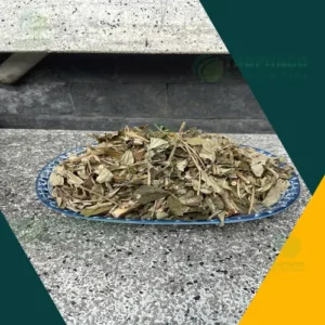 Khổ Sâm Nguyên Chất Giá Sỉ Tận Gốc - Noni Tấn Phát