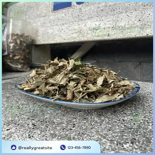 Hình ảnh cây khổ sâm tự nhiên, củ khổ sâm phơi khô