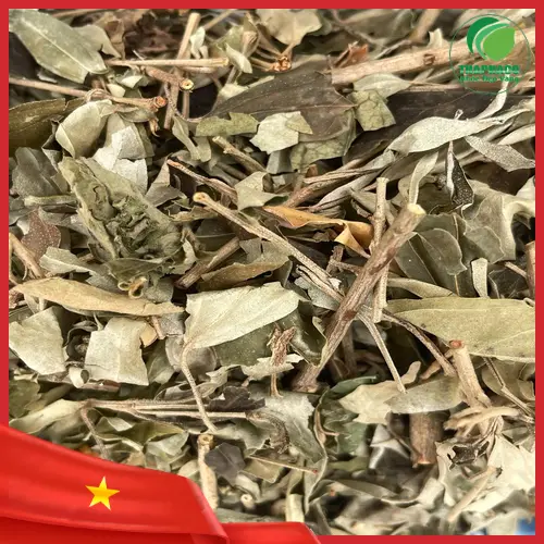 Khổ sâm được chế biến thành dạng lát tiện lợi