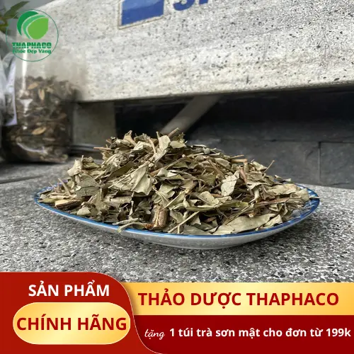 Khổ Sâm được phơi sấy và đóng gói cẩn thận tại Noni Tấn Phát