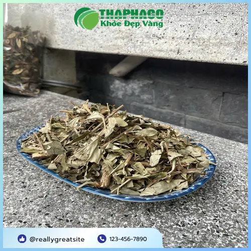Khổ Sâm được phơi khô và sơ chế
