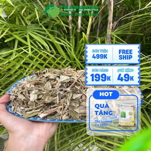 Quy trình đóng gói khổ sâm chuyên nghiệp tại Noni Tấn Phát