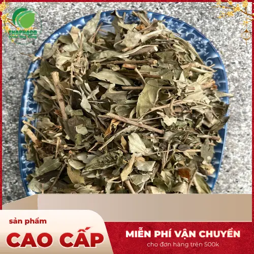 Dược liệu Khổ Sâm sau khi sơ chế
