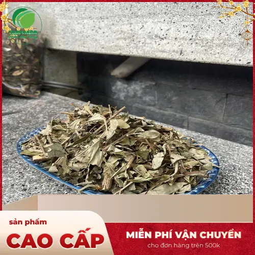 Khổ sâm được sử dụng trong bài thuốc sắc, trà