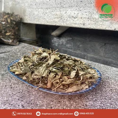 Cam kết chất lượng và uy tín của Noni Tấn Phát về khổ sâm