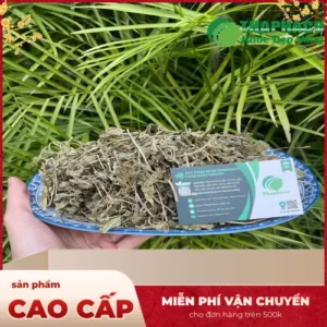 Cửa hàng bán sỉ lá bạc hà khô tại TP.HCM