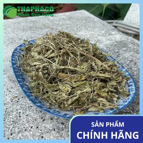 Lá bạc hà tươi và khô - giải pháp tự nhiên cho hơi thở thơm mát