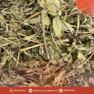 Lá Bạc Hà Khô Chất Lượng Cao: Nơi Mua Uy Tín Nhất Hiện Nay