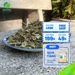 Lá Bạc Hà Khô TP.HCM: Địa Chỉ Mua Chất Lượng Cao