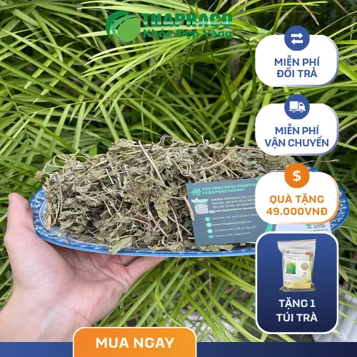 Một tách trà bạc hà thơm ngon và thư giãn