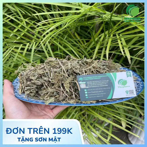 Quy trình sấy khô lá bạc hà tại Noni Tấn Phát