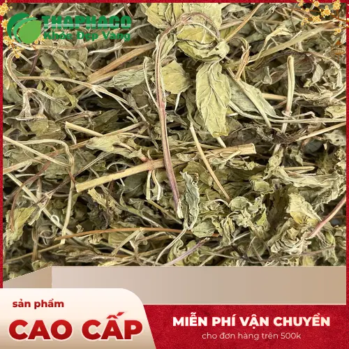 Tách trà lá bạc hà nóng hổi giúp làm ấm cơ thể khi bị cảm