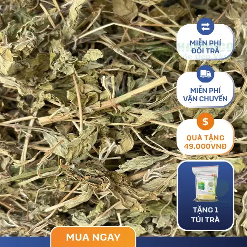 Hình ảnh lá bạc hà khô chất lượng cao từ Noni Tấn Phát