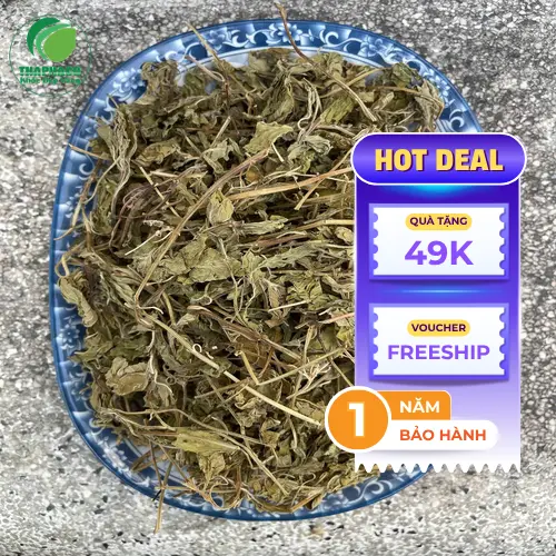 Quy trình sấy khô lá bạc hà chuẩn tại Noni Tấn Phát