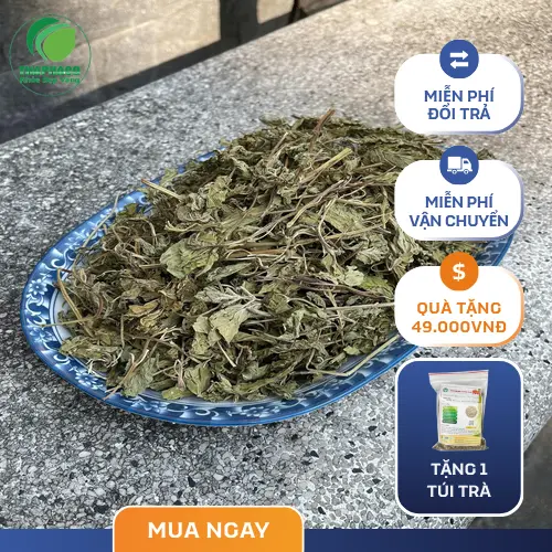 Pha trà lá bạc hà khô thơm ngon, dễ làm