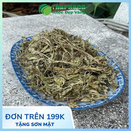 Một tách trà bạc hà khô thơm ngon, giúp thư giãn tinh thần