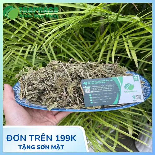 Ưu đãi lá bạc hà khô Noni Tấn Phát