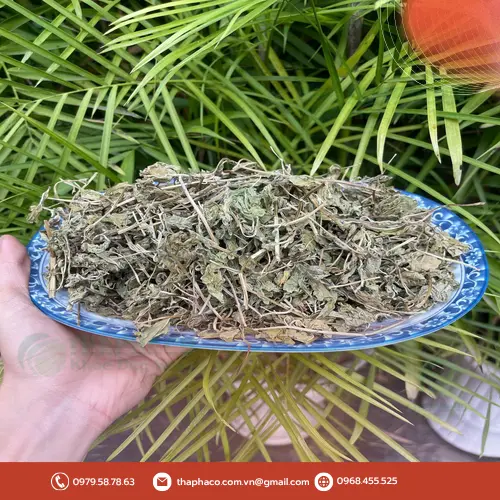 Chương trình khuyến mãi lá bạc hà khô Noni Tấn Phát