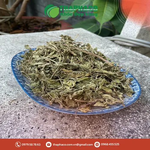 Lá bạc hà khô được bảo quản đúng cách tại Noni Tấn Phát