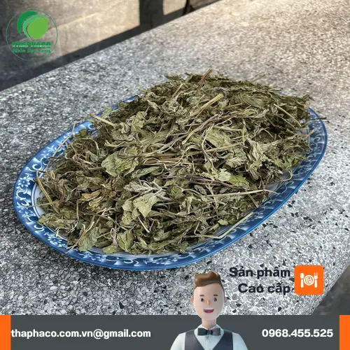 Các loại thảo mộc tự nhiên như gừng, sả, tía tô kết hợp với lá bạc hà trị cảm