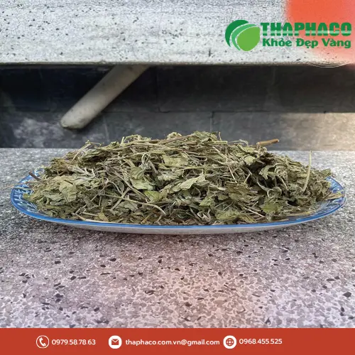 Hũ đựng lá bạc hà khô được bảo quản đúng cách, giữ trọn hương vị