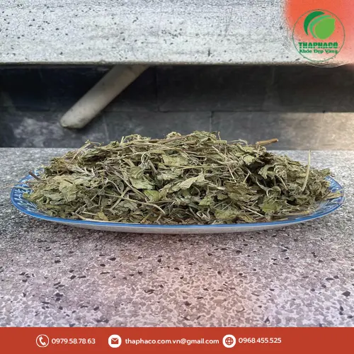 Lá bạc hà khô Noni Tấn Phát đa dụng trong pha trà và ẩm thực