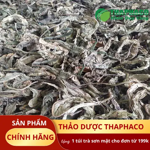 Lá khôi tía tươi và các vị thuốc kết hợp
