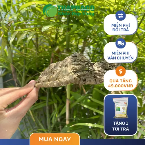 Lá khôi tía tươi được chuẩn bị tại Noni Tấn Phát