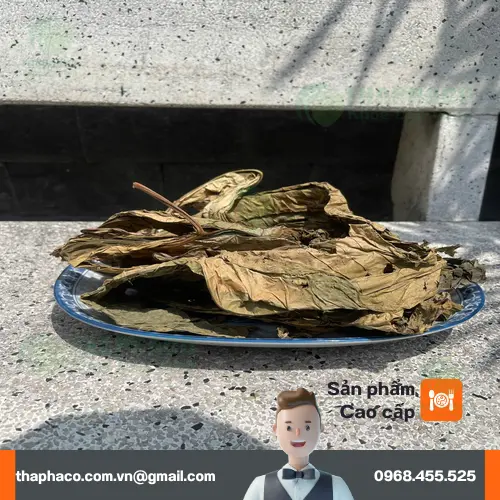 Thành phẩm lá khôi tía sấy khô nguyên chất từ Noni Tấn Phát