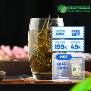 Chỗ Bán Sỉ Cây Mã Đề Khô Tại TP.HCM - Giá Tốt Noni Tấn Phát