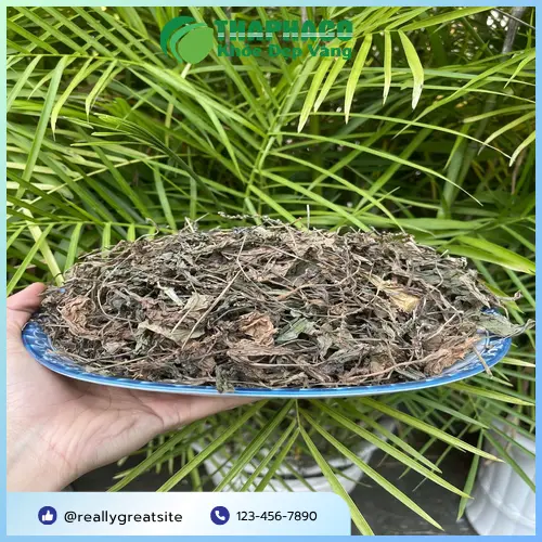 Công dụng đa dạng của mã đề sấy khô Noni Tấn Phát