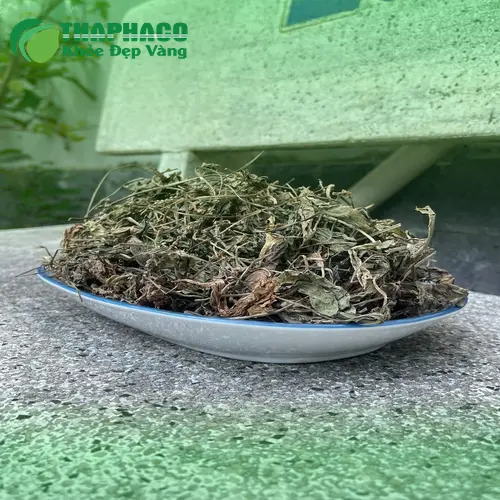 Hình ảnh lá mã đề khô chi tiết