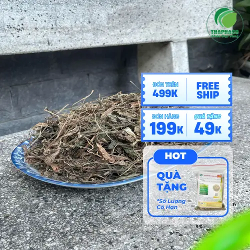 Sự khác biệt của mã đề sấy khô Noni Tấn Phát trên thị trường