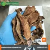 Móp Gai Noni Tấn Phát: Đại Lý Sỉ Lẻ Uy Tín TP.HCM