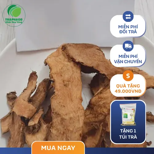 Móp gai khô, hình ảnh móp gai sau khi phơi hoặc sấy khô