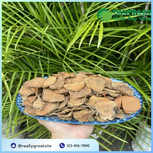 Móp gai khô của Noni Tấn Phát được tuyển chọn kỹ lưỡng