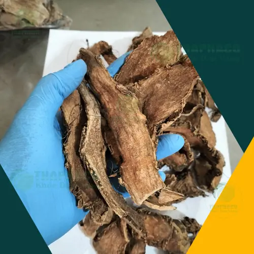 Sản phẩm móp gai sấy khô chất lượng cao từ Noni Tấn Phát