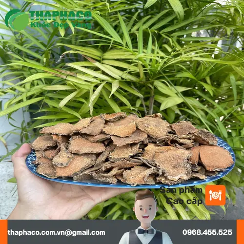 Mướp gai tươi - Dược liệu tự nhiên