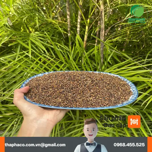 Hình ảnh nụ vối sấy khô chất lượng cao từ Noni Tấn Phát