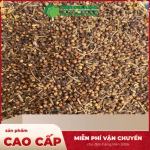 Nụ Vối Sấy Khô: Công Ty Bán Sỉ Tại TP.HCM - Noni Tấn Phát