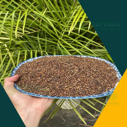 Nụ vối sấy khô Noni Tấn Phát, giữ trọn dược tính