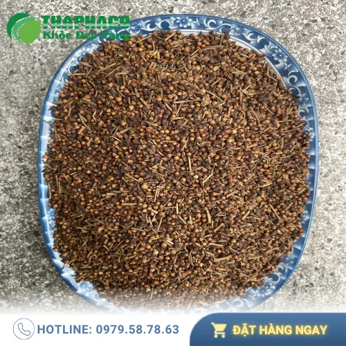 Sản phẩm nụ vối khô Noni Tấn Phát, chất lượng uy tín