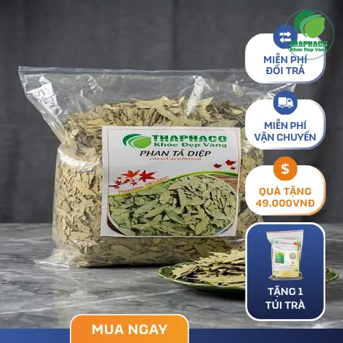 Sản phẩm phan tả diệp đóng gói Noni Tấn Phát