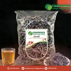 Cây Sài Đất Sấy Khô Giá Bao Nhiêu 1kg? Noni Tấn Phát Giải Đáp!