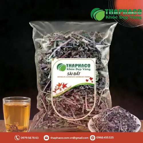 Cây sài đất tươi và sấy khô chất lượng Noni Tấn Phát
